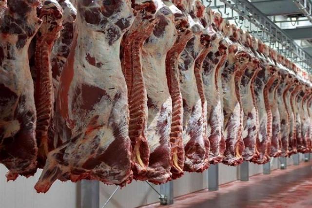 عاجل | «التموين» تعلن توافر 3 أنواع من اللحوم في الأسواق.. اعرف الأسعار