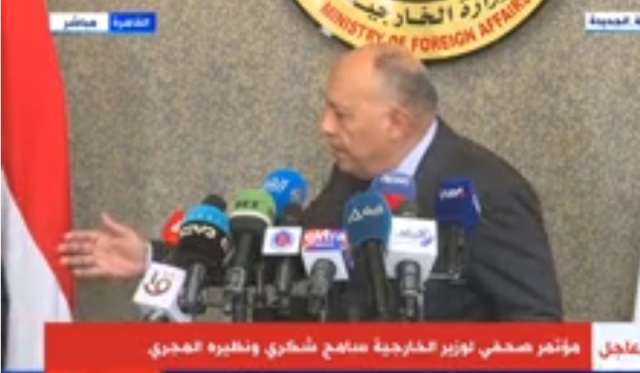 سامح شكري وزير الخارجية