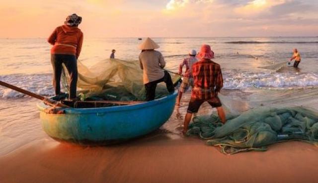 «بر أمان» تعيد الحياة لصائدات السمك.. و«التضامن» تمدهن بالحماية الاجتماعية