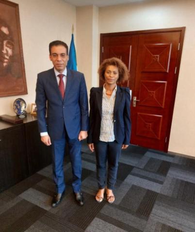 سفير مصر لدى غينيا: هناك فرص متاحة للتعاون في المجالات الطبية والصحية بين البلدين