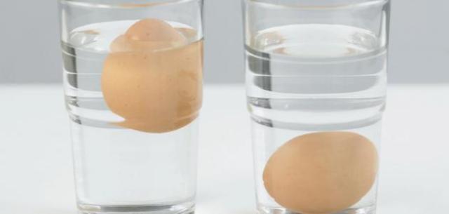 بـ 5 خطوات بسيطة يمكنك معرفة البيض الفاسد