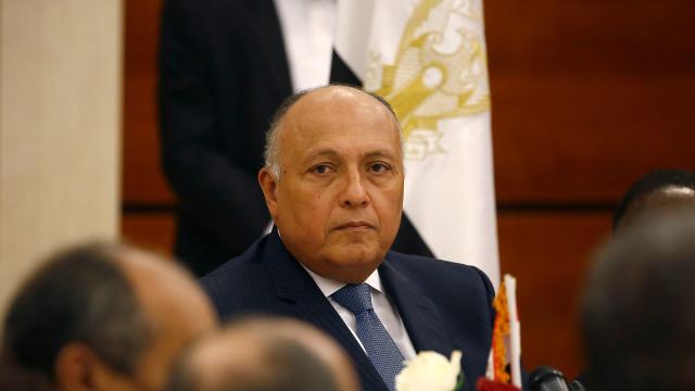 سامح شكرى وزير الخارجية