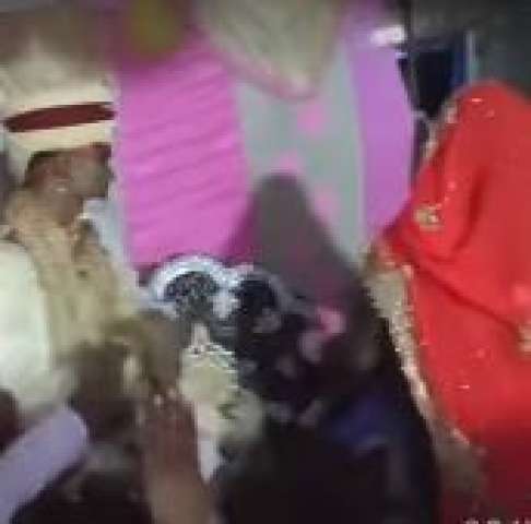 العروس الهندية 