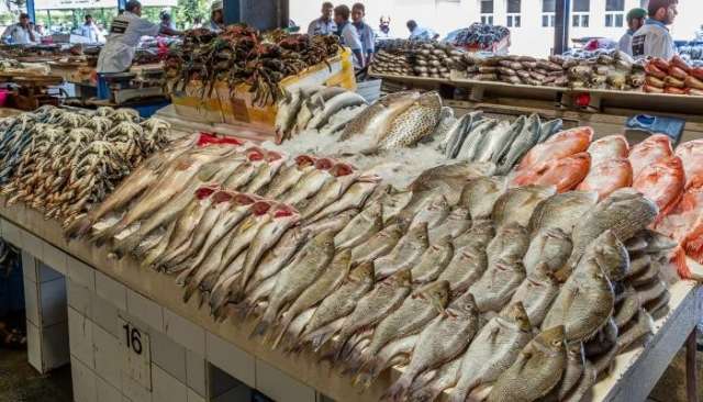 «الثروة السمكية» تزف بشري سارة بشأن الأسعار.. فيديو