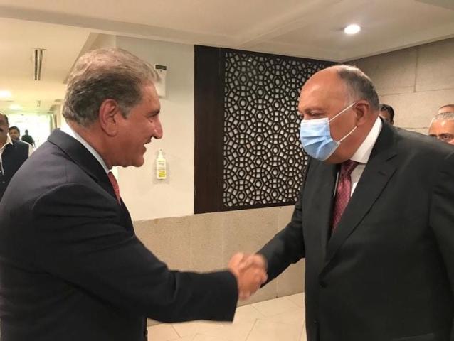 وزير الخارجية يلتقي نظيره الباكستاني ضمن جولته الأسيوية