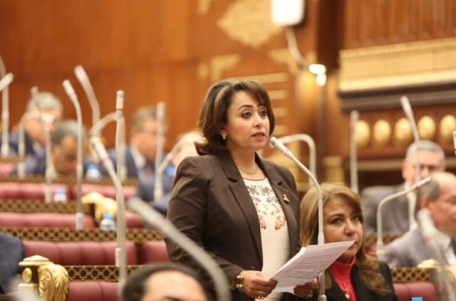 برلمانية لـ”الطريق”: استمرار الزيادة السكانية سيصل بمصر إلى 138 مليون نسمة 2030