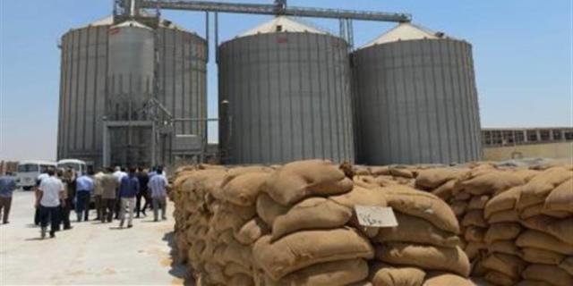 «الصوامع» يكشف خطة الدولة المصرية لتخزين القمح والغلال