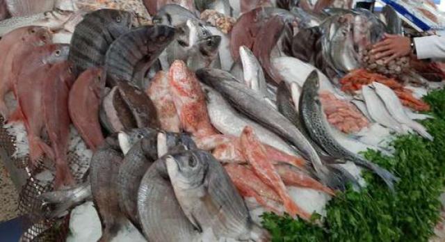 أسعار الأسماك اليوم الثلاثاء 12  أبريل 2022