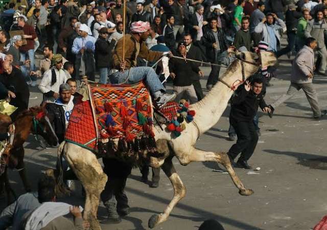 أحداث يناير 2011