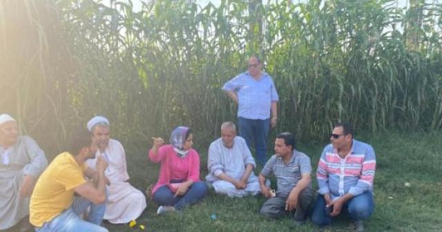 برلمانية: تناقش مقترحات المزارعين بشأن تحسين منظومة توريد القمح