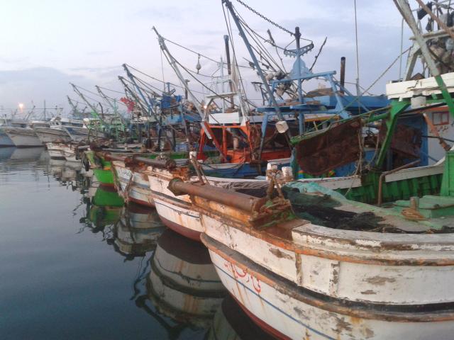 4 مهن للصيادين بالبرلس بمراكب ”السنار والجر والقنار والشانشيلا” لجلب الرزق