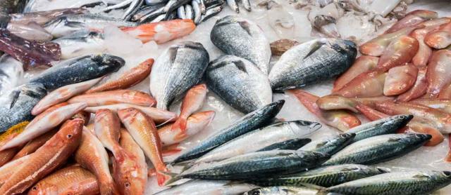 أسعار الأسماك اليوم الجمعة 3-6-2022