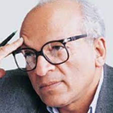 الكاتب الصحفي جمال الغيطاني