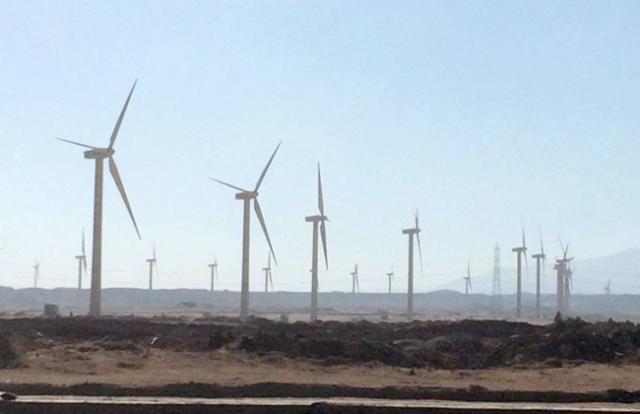 هيئة الطاقة المتجددة: منطقة الزعفران الأفضل في سرعات الرياح عالميا.. فيديو