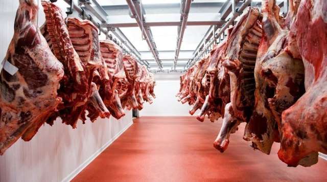 «الزراعة»: حققنا الاكتفاء الذاتي بنسبة 60% في اللحوم الحمراء