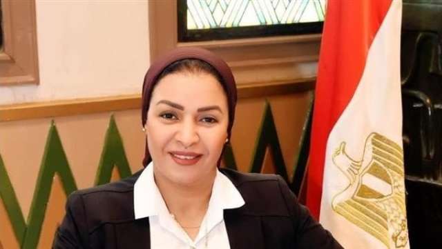 النائبة الدكتورة الفت المزلاوي أمين سر لجنة القوى العاملة بمجلس النواب