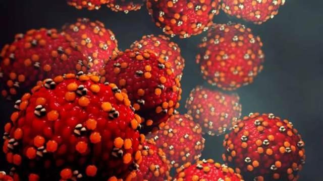 «استشاري» يكشف معلومات جديدة عن إنفلونزا الطماطم