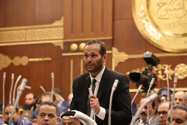 نائب محمد حلاوة رئيس لجنة الصناعة بمجلس الشيوخ
