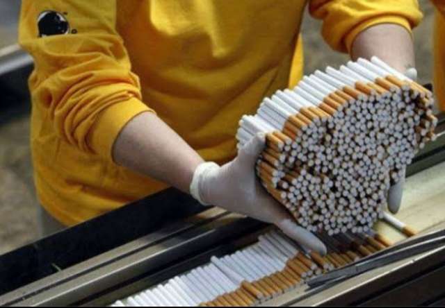 «في يومها العالمي».. شعبة الدخان: المصريون يستهلكون سجائر بـ 70 مليار جنيه سنويا