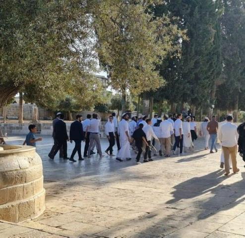 متطرفون يهود يقتحمون الأقصى واشتباكات في المسجد القبلي