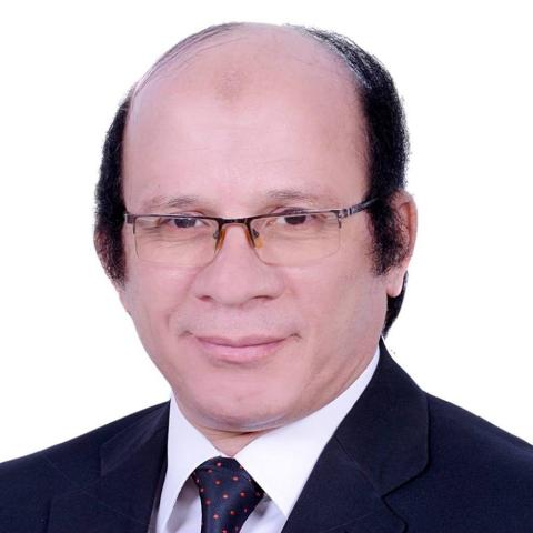 الدكتور محمد عبد العزيز  أستاذ العلوم والتربية بجامعة عين شمس