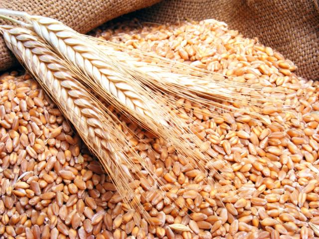 وزير الاقتصاد اللبناني: «كمية القمح تكفي لمدة شهر ونصف وهناك سرقة للمال العام»