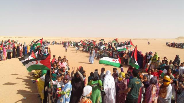خاص| فاطمة مسعود: الشعب الصحراوي لن يتنازل عن حق تقرير مصيره والجزائر لن تخونهم