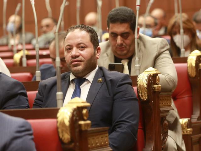 النائب مصطفى سالمان: السيسي تسلح بإرادة المصريين في 30 يونيو والتاريخ لن ينسى تضحياته