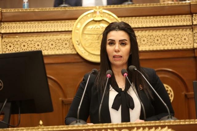 النائبة سها سعيد عضو مجلس الشيوخ عن تنسيقية شباب الأحزاب والسياسيين