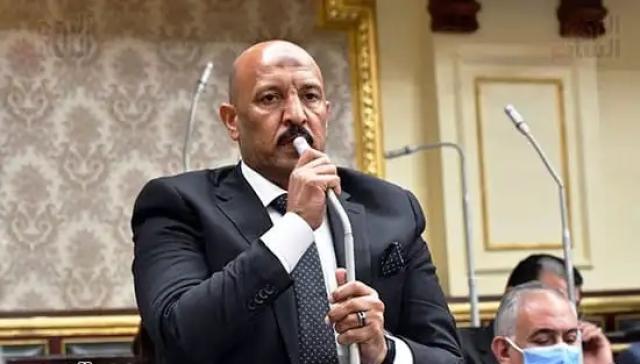 أحمد الحديدي عضو مجلس النواب
