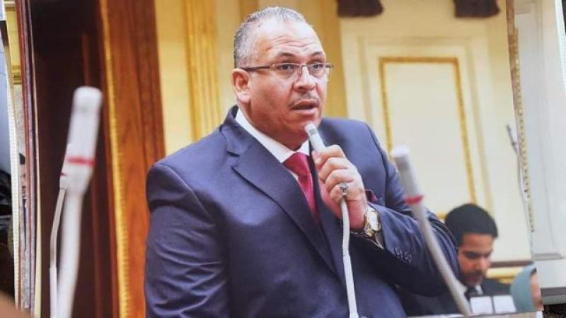 برلماني: الرئيس السيسي يقود جهود إنهاء الأزمة في السودان