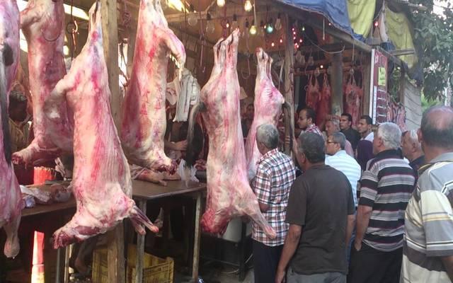 رئيس حي العجوزة لـ«الطريق»: إجراءات مشددة للمخالفين بأسواق اللحوم