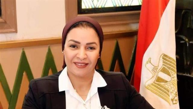 الدكتورة ألفت المزلاوي، عضو مجلس النواب 