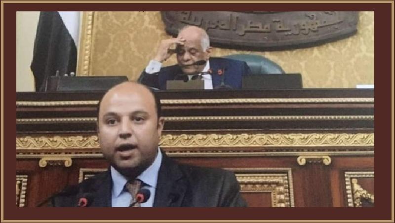برلماني: ما يحدث في روسيا شأن داخلي ولا خطورة على المصريين في موسكو