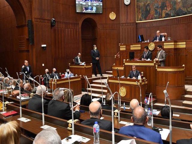 مجلس الشيوخ يوصي بالاستمرار فى دعم الصادرات المصرية