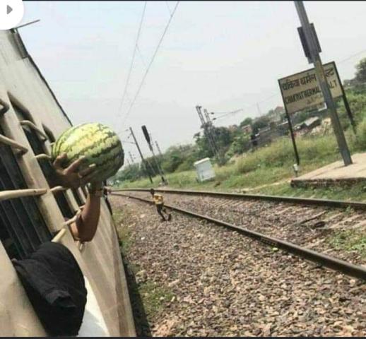 رجل يشتري بطيخة أثناء استقلاله القطار