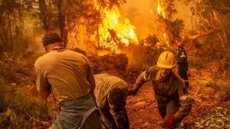السلطات اليونانية تلجأ لحيلة غير مسبوقة لوقف امتداد النيران في ليسبوس