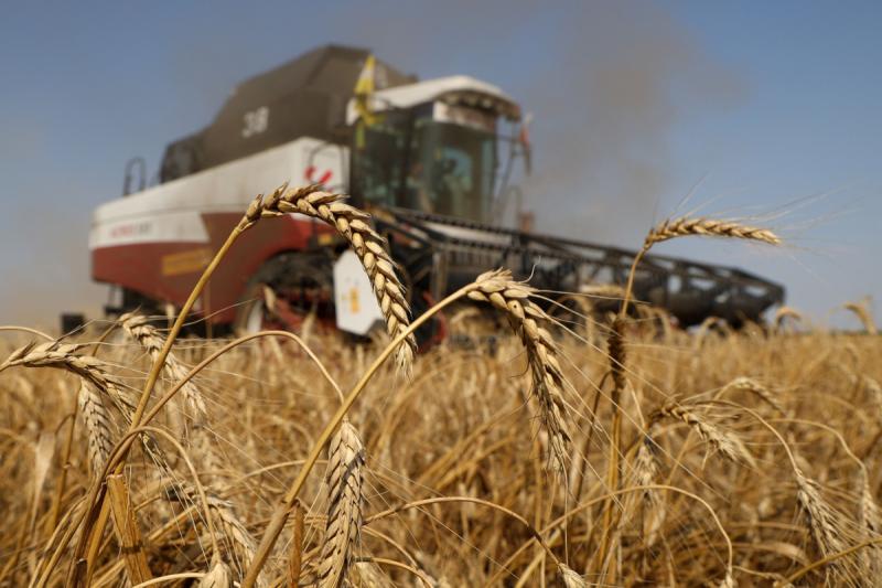 أوكرانيا تستأنف عمليات تصدير الحبوب برعاية أممية