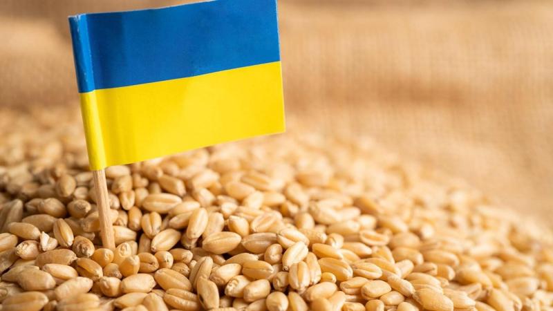 أوكرانيا: توقعات بالحصول على مسار مؤكد من الأمم المتحدة لصادرات الحبوب