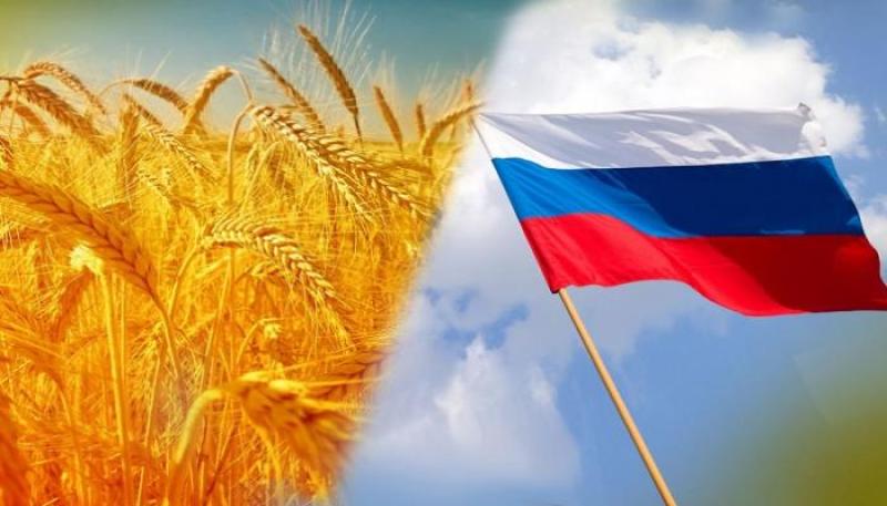 «اختبار للاتفاق».. أوكرانيا تستعد لاستئناف أولى شحنات الحبوب عبر موانيها