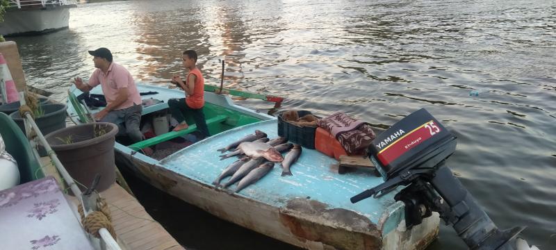 «لو خرجت منه أموت»..قصة صياد يبيع الأسماك على ضفاف النيل