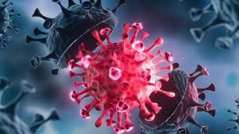 الصحة: 39 مليون شخص تم تحصينهم ضد فيروس كورونا