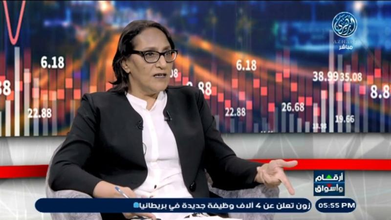 حنان رمسيس لـ«الطريق»: أسعار استحواذ السيادي السعودي على الشركات المصرية مواتيا مع تحركات الأسهم والدولار