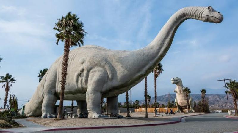 العثور على آثار أقدام ديناصور عمره 100 مليون سنة داخل مطعم