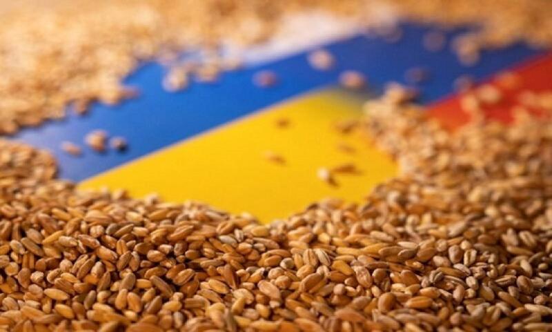 هل تنجح ممرات الحبوب الأوكرانية في تخفيف أزمة الغذاء العالمية؟