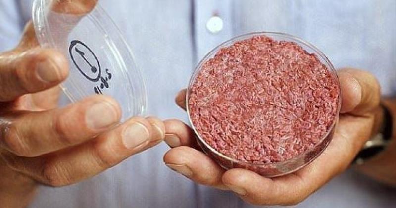 مخاطر اللحوم المصنعة