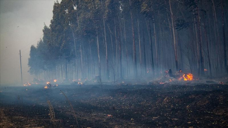 الجيش ينتشر وسط الأرجنتين للمساعدة في إخماد حرائق الغابات