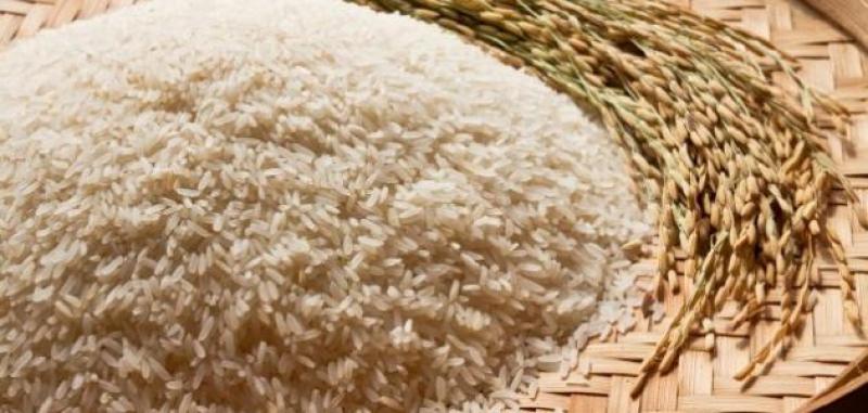 الكيلو بـ10.. شعبة المواد الغذائية: انخفاض كبير في سعر الأرز