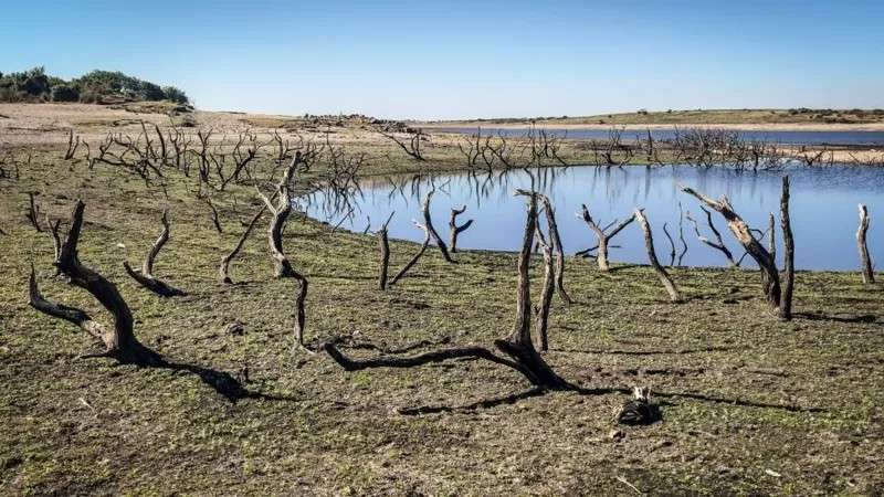 أوروبا تعاني موجة الجفاف الأسوأ منذ نصف قرن