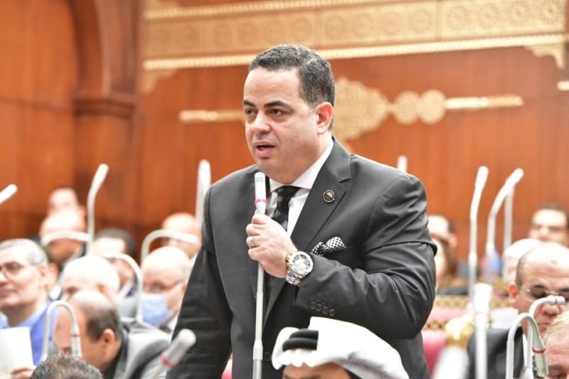 برلماني: الرئيس السيسي قاد مصر في أصعب مراحل تاريخها وقهر الإرهاب